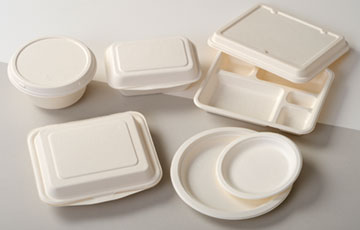 容器(プラスチック・紙)_紙-ケース